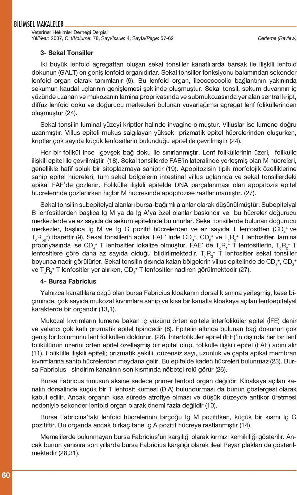 Bu lenfoid organ, ileocecocolic bağlantının yakınında sekumun kaudal uçlarının genişlemesi şeklinde oluşmuştur.