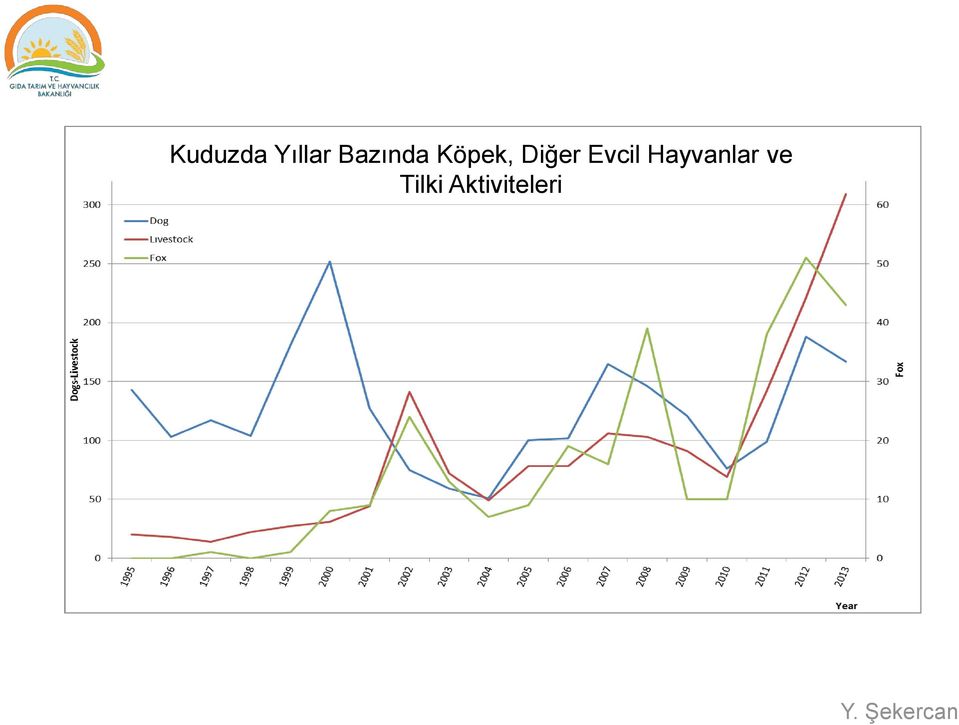 Evcil Hayvanlar ve