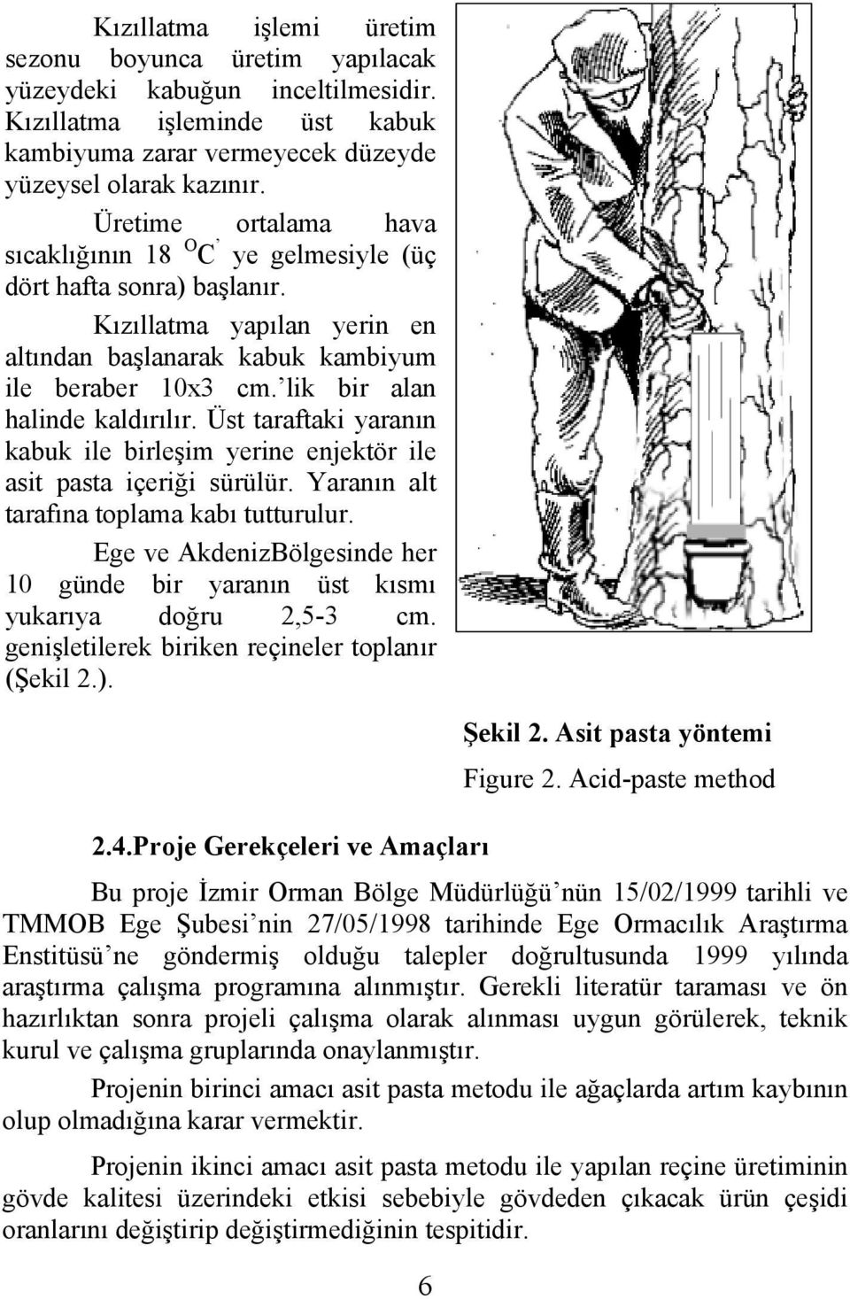 lik bir alan halinde kaldırılır. Üst taraftaki yaranın kabuk ile birleşim yerine enjektör ile asit pasta içeriği sürülür. Yaranın alt tarafına toplama kabı tutturulur.