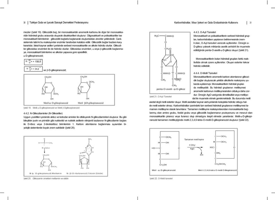 Oligosakkarit ve polisakkaritler ise monosakkarit birimlerinin glikozidik bağlarla bağlanarak oluşturdukları zincirler şeklindedir.