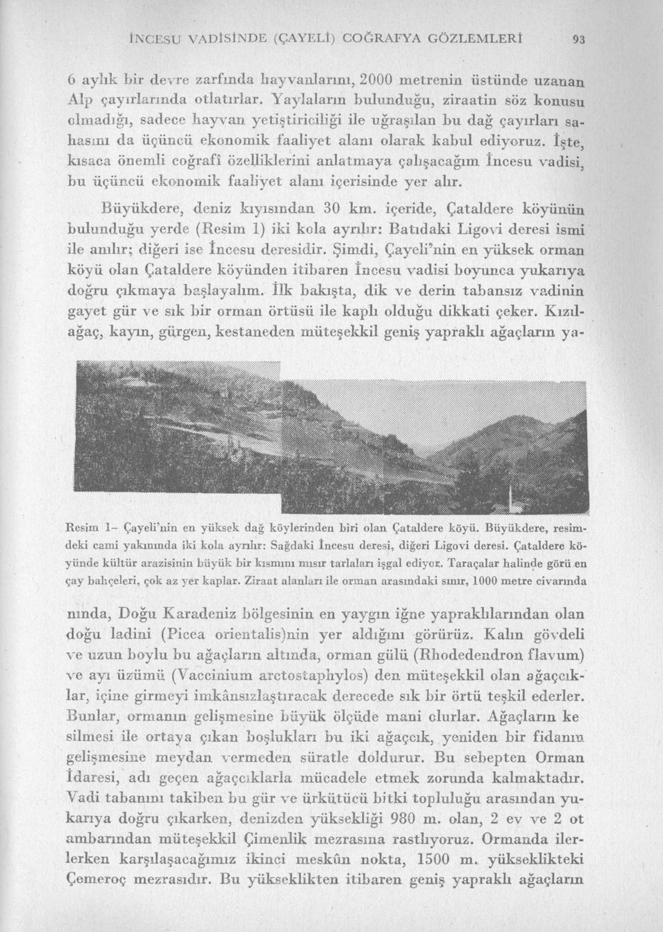 İşte, kısaca önemli coğrafî özelliklerini anlatmaya çalışacağım İncesu vadisi, bu üçüncü ekonomik faaliyet alanı içerisinde yer alır. Büyükdere, deniz kıyısından 30 km.