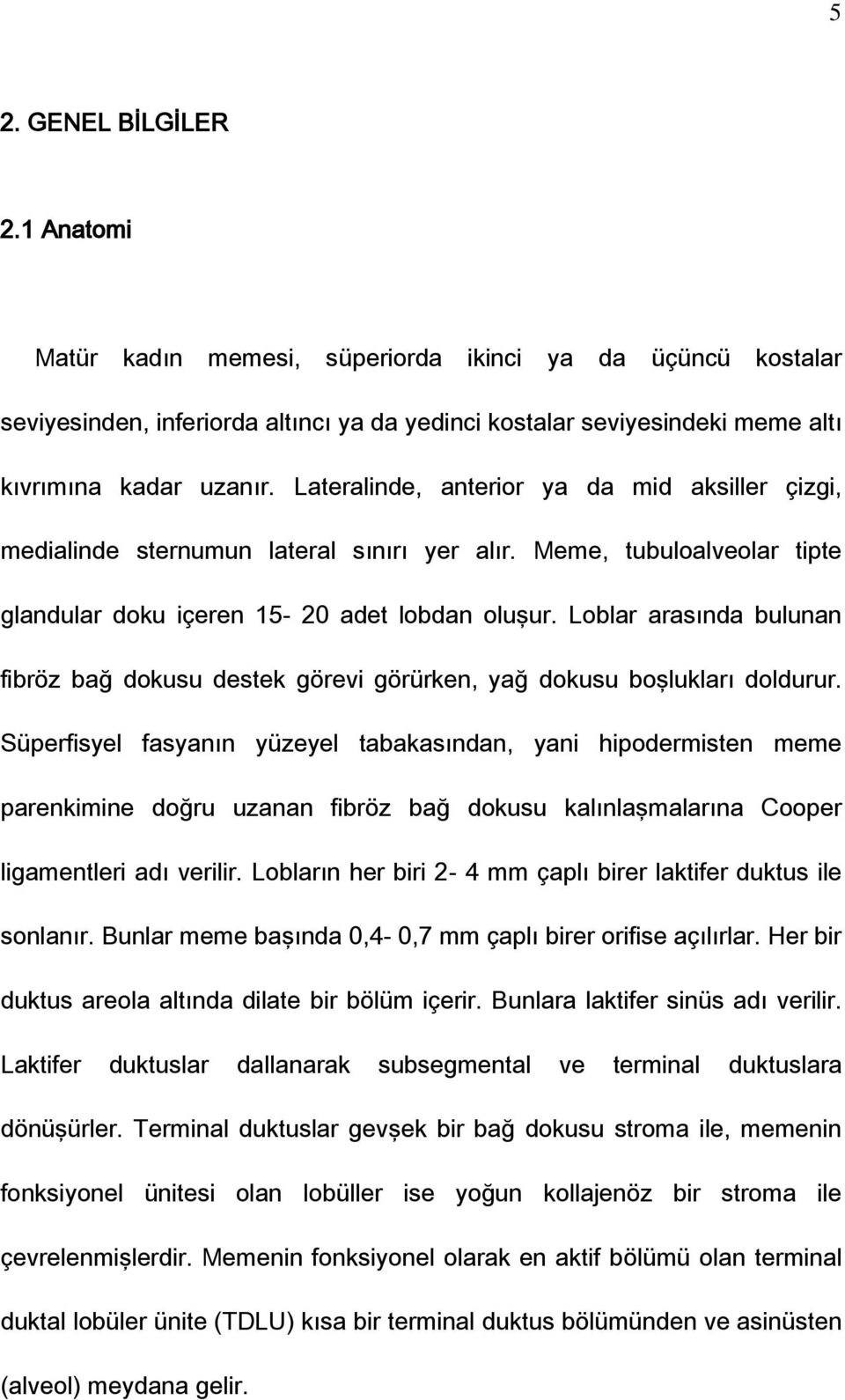 Loblar arasında bulunan fibröz bağ dokusu destek görevi görürken, yağ dokusu boşlukları doldurur.