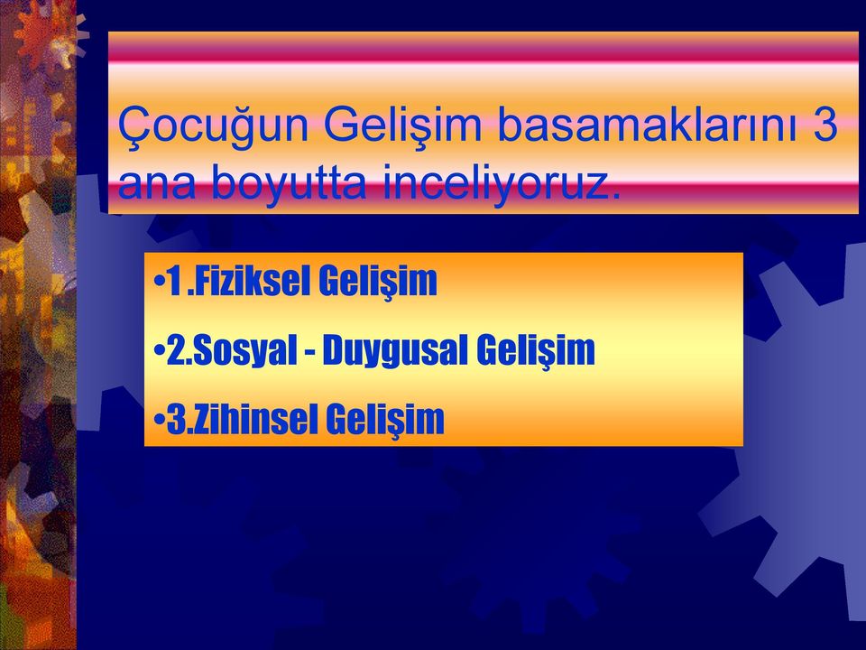 Fiziksel Gelişim 2.