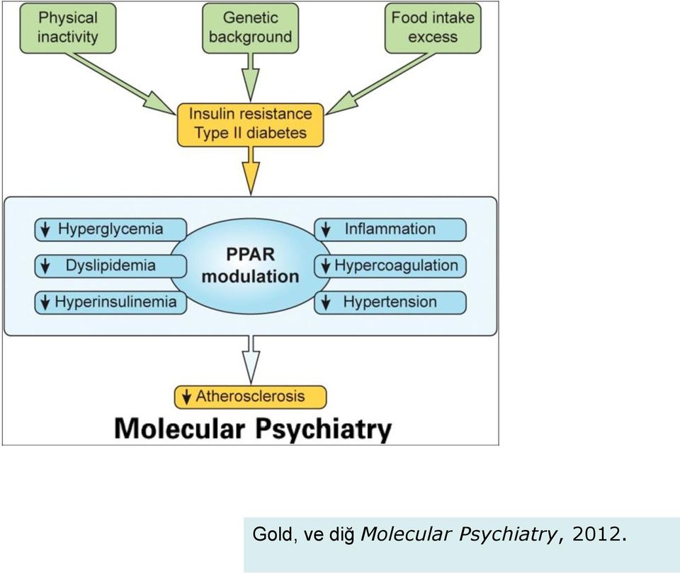 Molecular