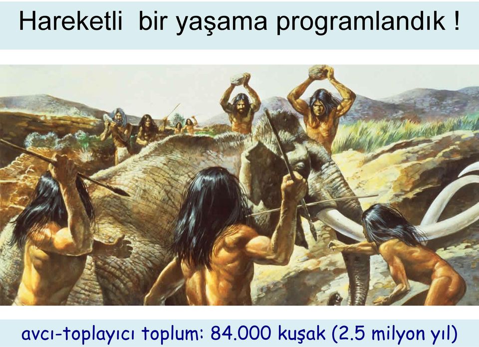 avcı-toplayıcı