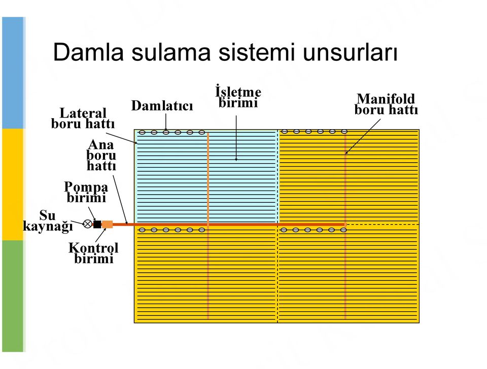 Pompa birimi Su kaynağı Damlatıcı