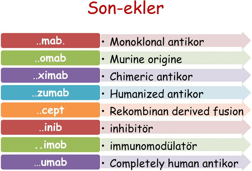 Chimericantikor Humanized antikor Rekombinan derived