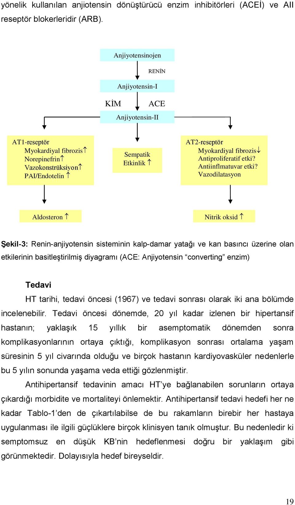 Antiproliferatif etki? Antiinflmatuvar etki?