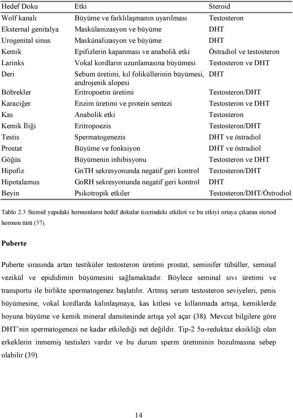 Eritropoetin üretimi Testosteron/DHT Karaciğer Enzim üretimi ve protein sentezi Testosteron ve DHT Kas Anabolik etki Testosteron Kemik İliği Eritropoezis Testosteron/DHT Testis Spermatogenezis DHT ve