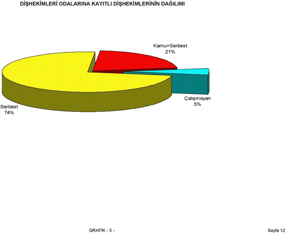 DAĞILIMI Kamu+Serbest 21%