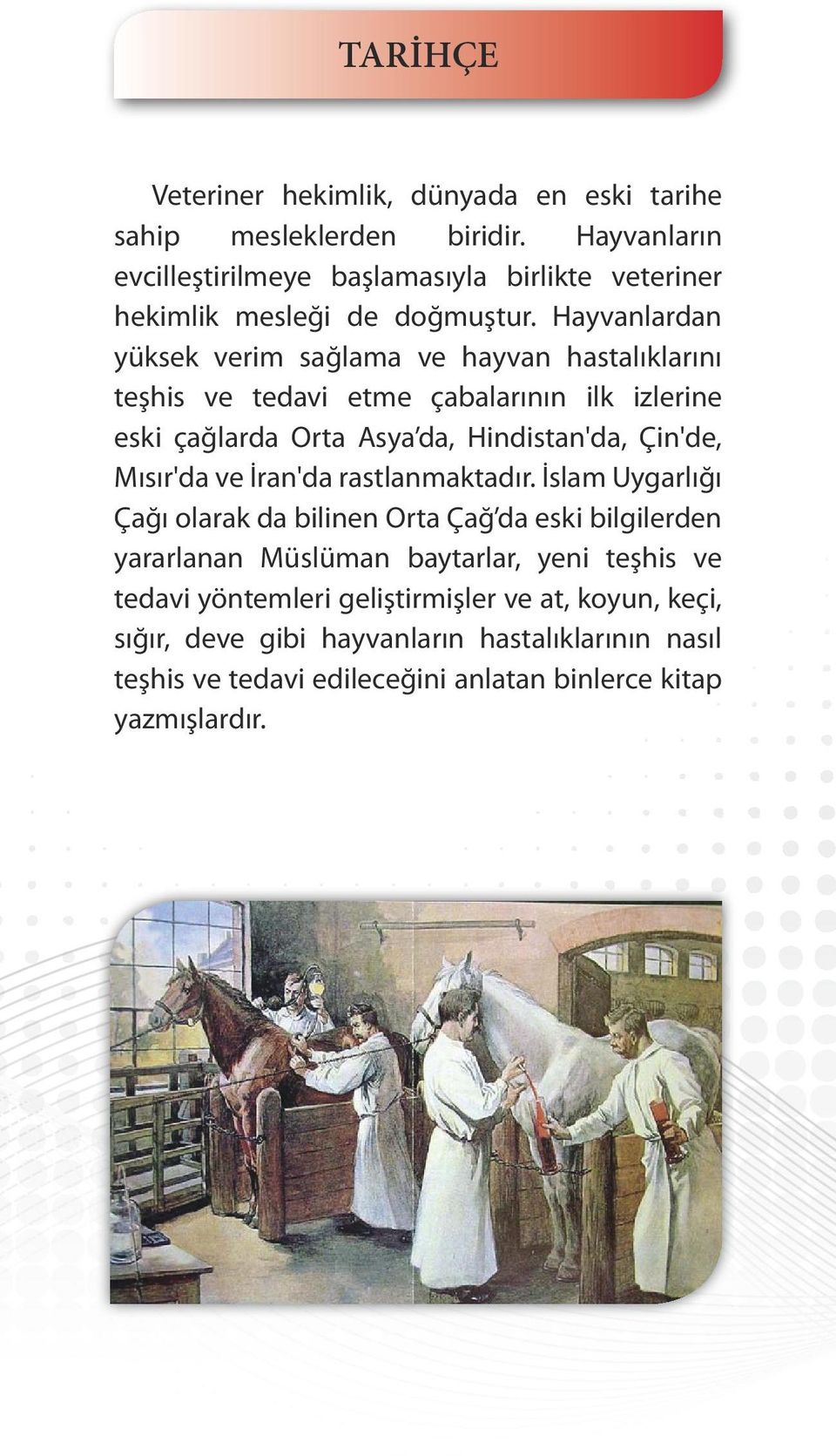 Hayvanlardan yüksek verim sağlama ve hayvan hastalıklarını teşhis ve tedavi etme çabalarının ilk izlerine eski çağlarda Orta Asya da, Hindistan'da, Çin'de,