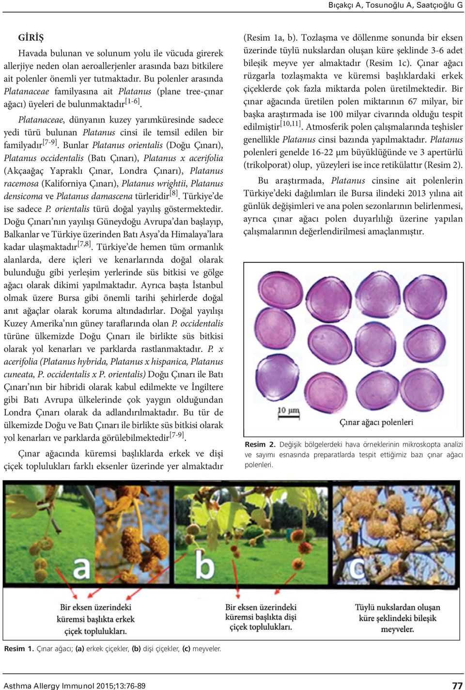 Platanaceae, dünyanın kuzey yarımküresinde sadece yedi türü bulunan Platanus cinsi ile temsil edilen bir familyadır [7-9].