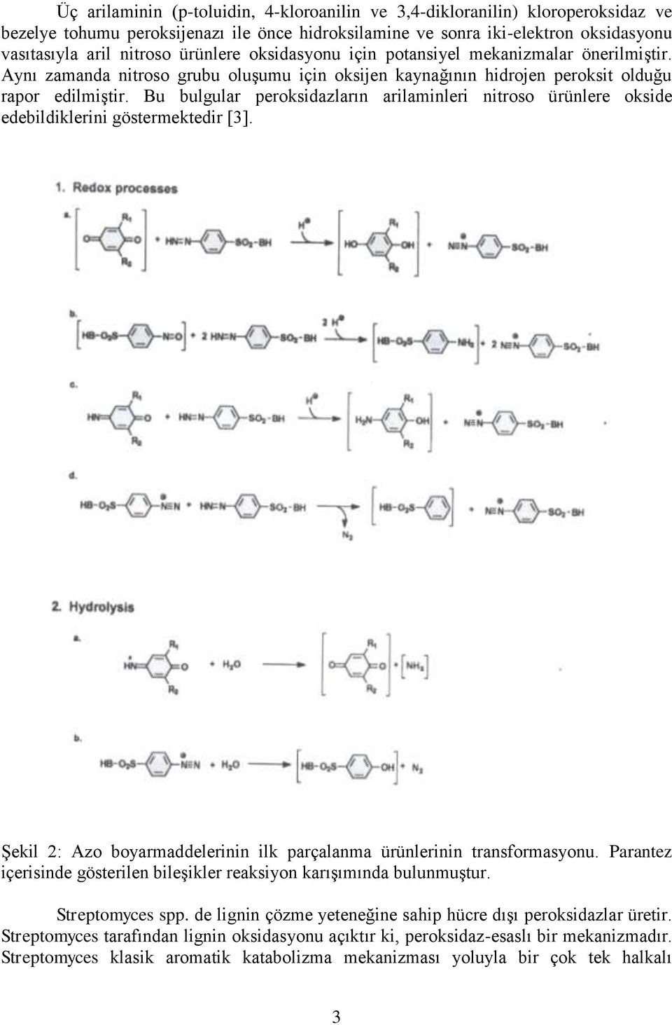 Bu bulgular peroksidazların arilaminleri nitroso ürünlere okside edebildiklerini göstermektedir [3]. Şekil 2: Azo boyarmaddelerinin ilk parçalanma ürünlerinin transformasyonu.