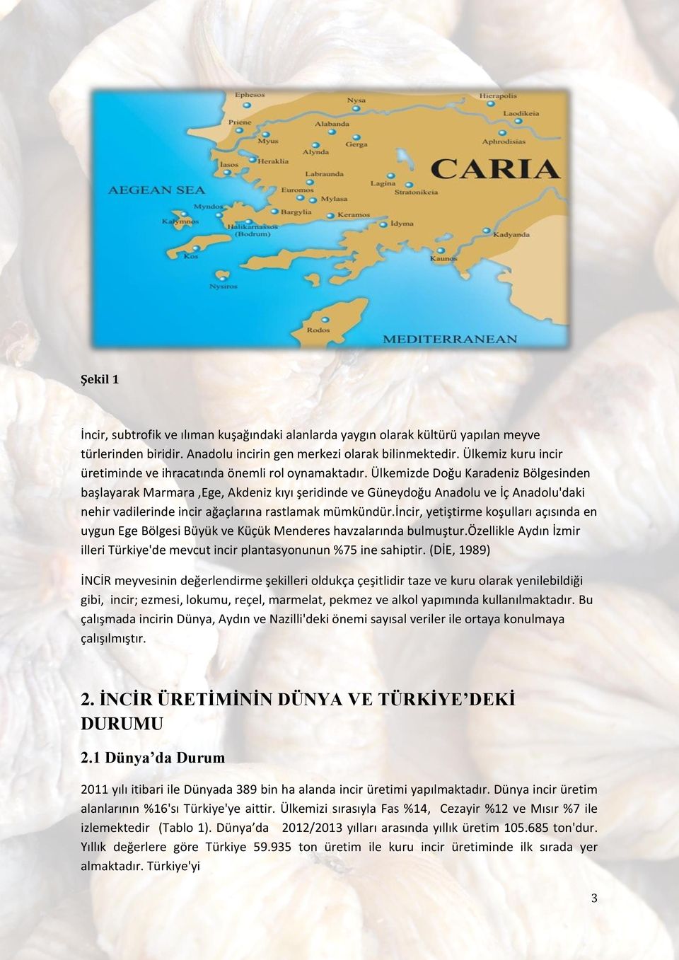 Ülkemizde Doğu Karadeniz Bölgesinden başlayarak Marmara,Ege, Akdeniz kıyı şeridinde ve Güneydoğu Anadolu ve İç Anadolu'daki nehir vadilerinde incir ağaçlarına rastlamak mümkündür.