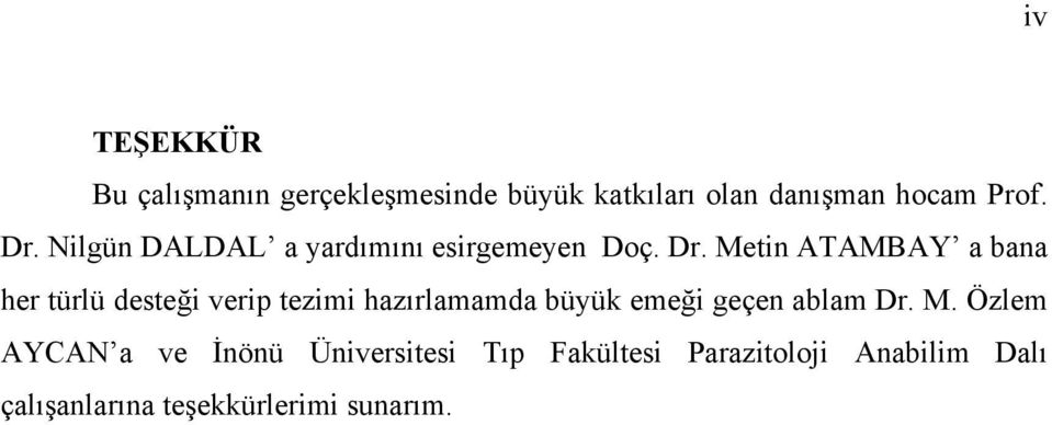 Metin ATAMBAY a bana her türlü desteği verip tezimi hazırlamamda büyük emeği geçen