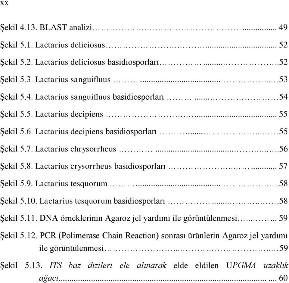 .... 57 Şekil 5.9. Lactarius tesquorum......58 Şekil 5.10. Lactarius tesquorum basidiosporları......58 Şekil 5.11. DNA örneklerinin Agaroz jel yardımı ile görüntülenmesi...... 59 Şekil 5.12.