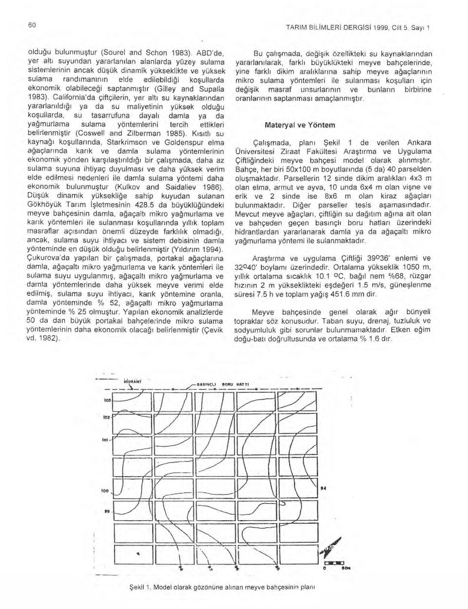 saptanm ışt ı r (Gilley and Supalla 1983).