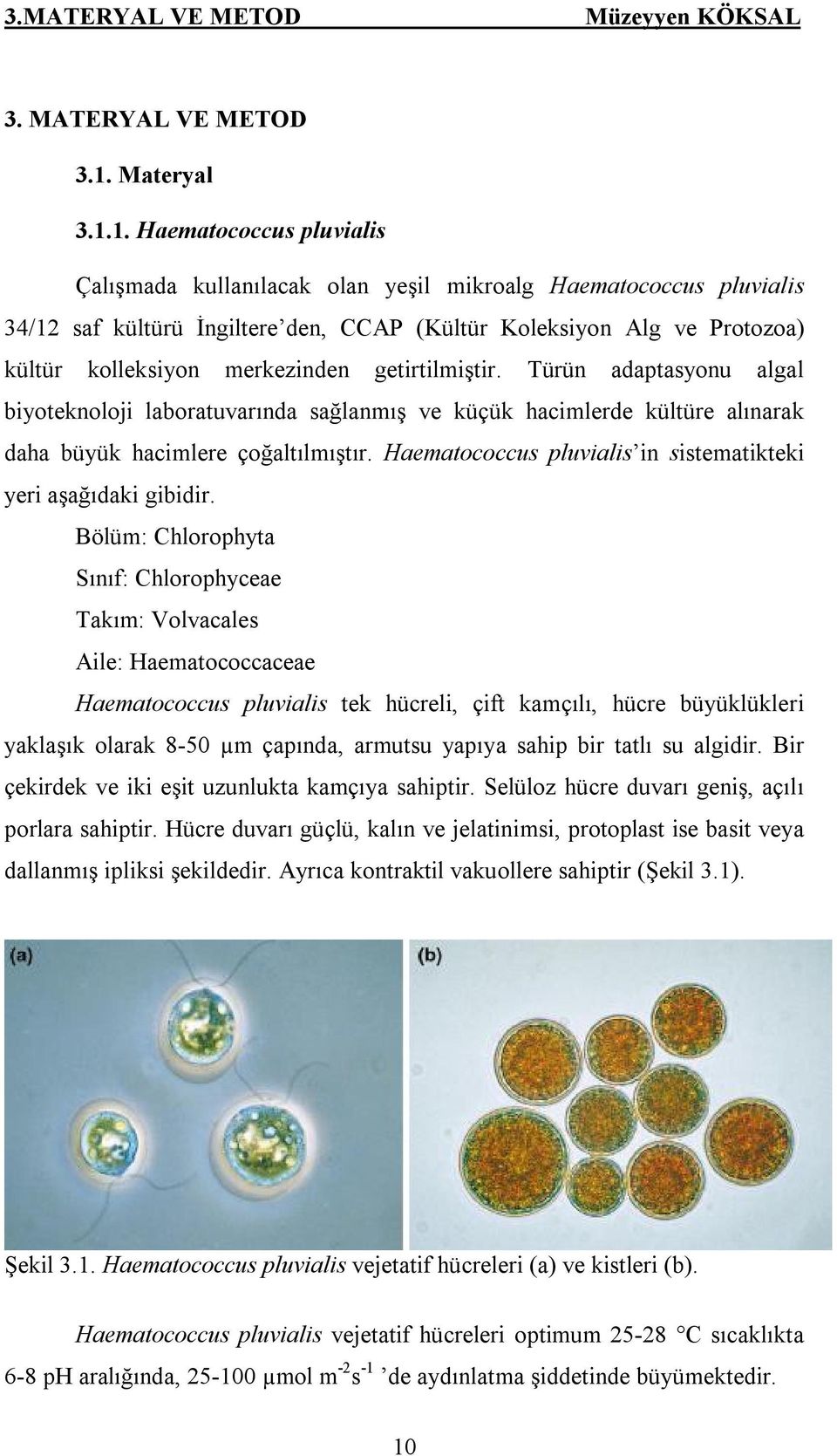 1. Haematococcus pluvialis Çalışmada kullanılacak olan yeşil mikroalg Haematococcus pluvialis 34/12 saf kültürü İngiltere den, CCAP (Kültür Koleksiyon Alg ve Protozoa) kültür kolleksiyon merkezinden