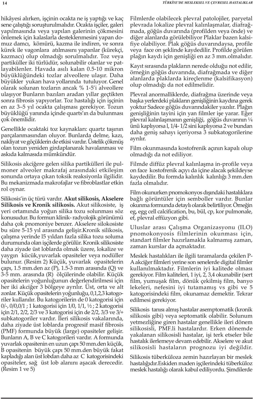 yapanlar (kürekçi, kazmacý) olup olmadýðý sorulmalýdýr. Toz veya partiküller iki türlüdür, solunabilir olanlar ve patlayabilenler. Havada asýlý kalan.