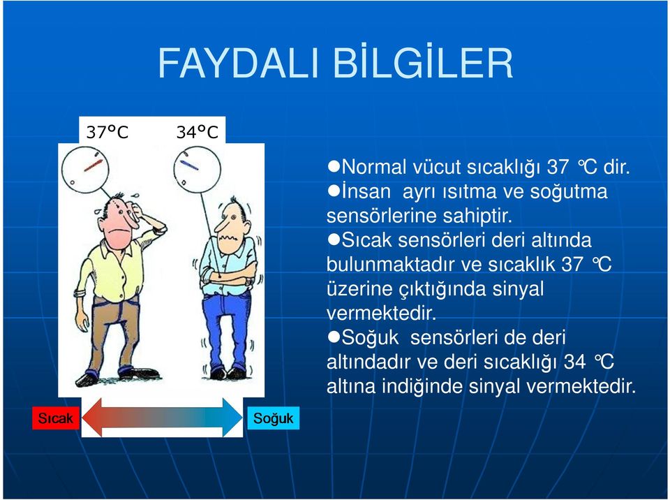 Sıcak sensörleri deri altında bulunmaktadır ve sıcaklık 37 C üzerine