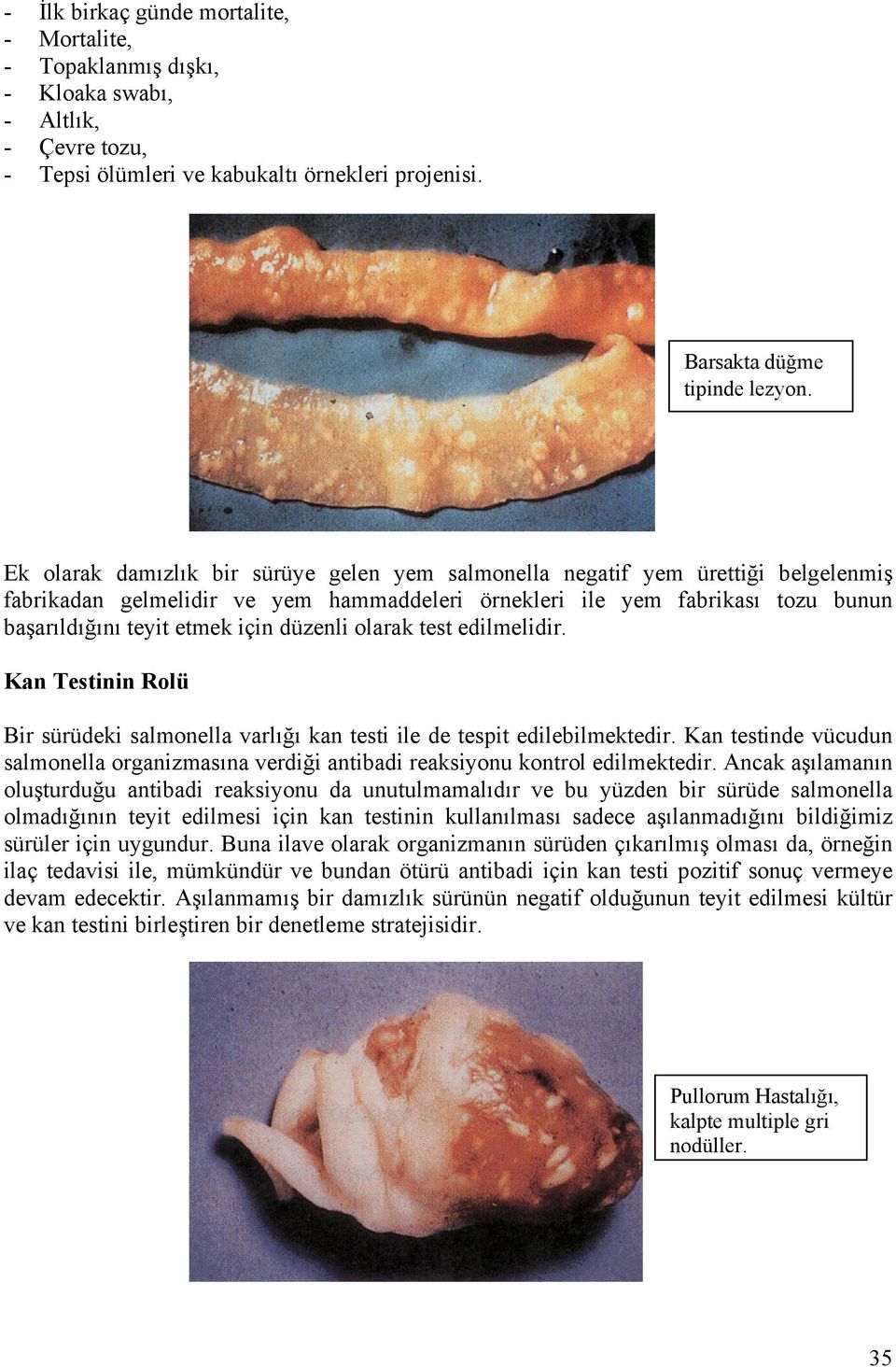 düzenli olarak test edilmelidir. Kan Testinin Rolü Bir sürüdeki salmonella varlığı kan testi ile de tespit edilebilmektedir.