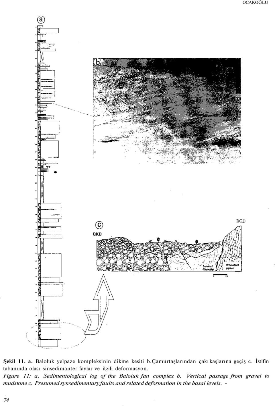 İstifin tabanında olası sinsedimanter faylar ve ilgili deformasyon. Figure 11: a.