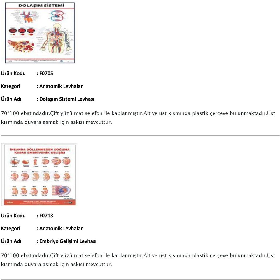 Levhası : F0713