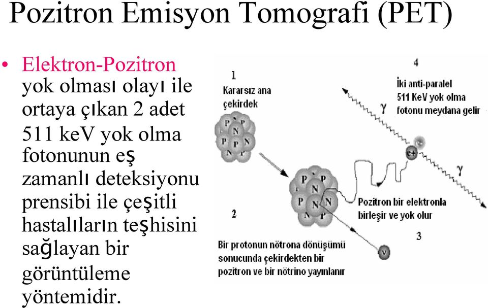 fotonunun eş zamanlı deteksiyonu prensibi ile çeşitli