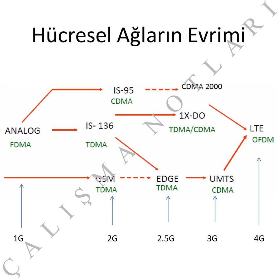 Evrimi 1G