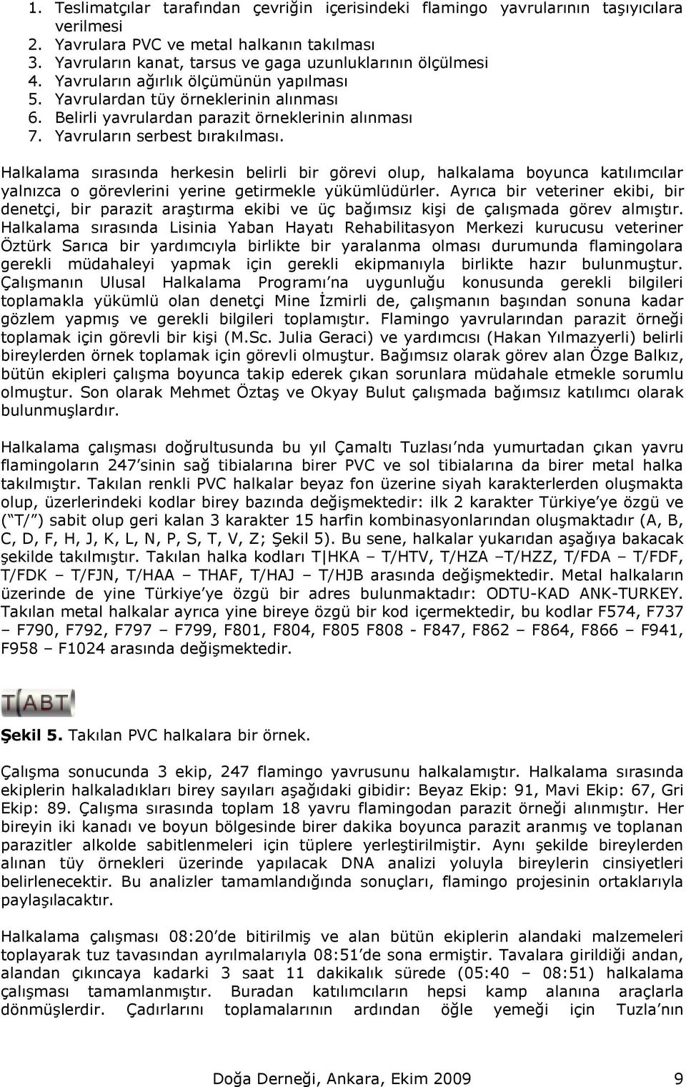 Yavruların serbest bırakılması. Halkalama sırasında herkesin belirli bir görevi olup, halkalama boyunca katılımcılar yalnızca o görevlerini yerine getirmekle yükümlüdürler.