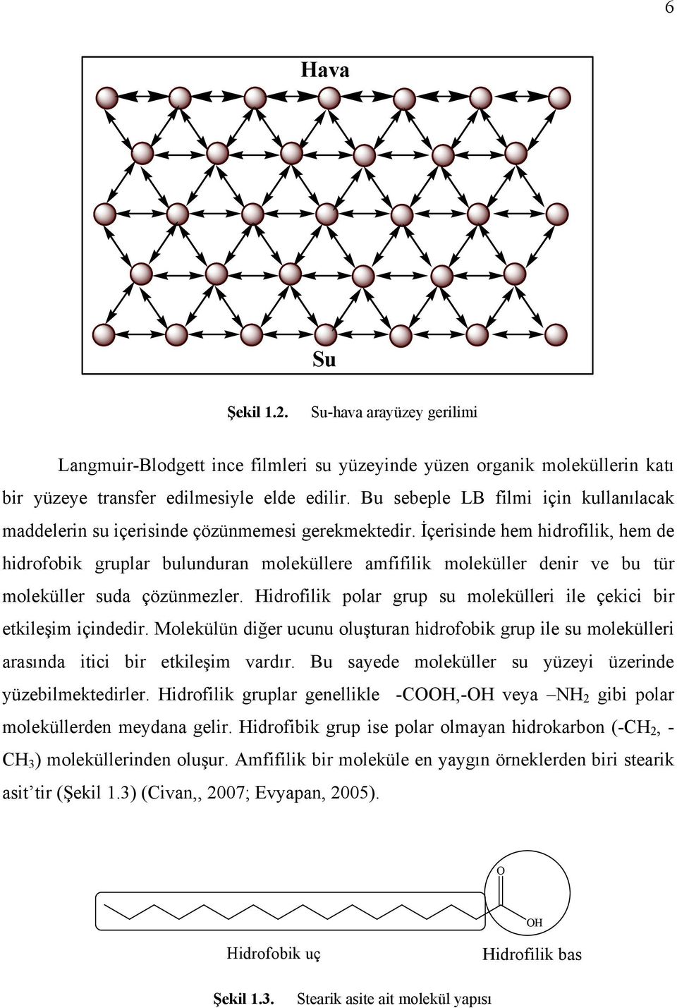 İçerisinde hem hidrofilik, hem de hidrofobik gruplar bulunduran moleküllere amfifilik moleküller denir ve bu tür moleküller suda çözünmezler.