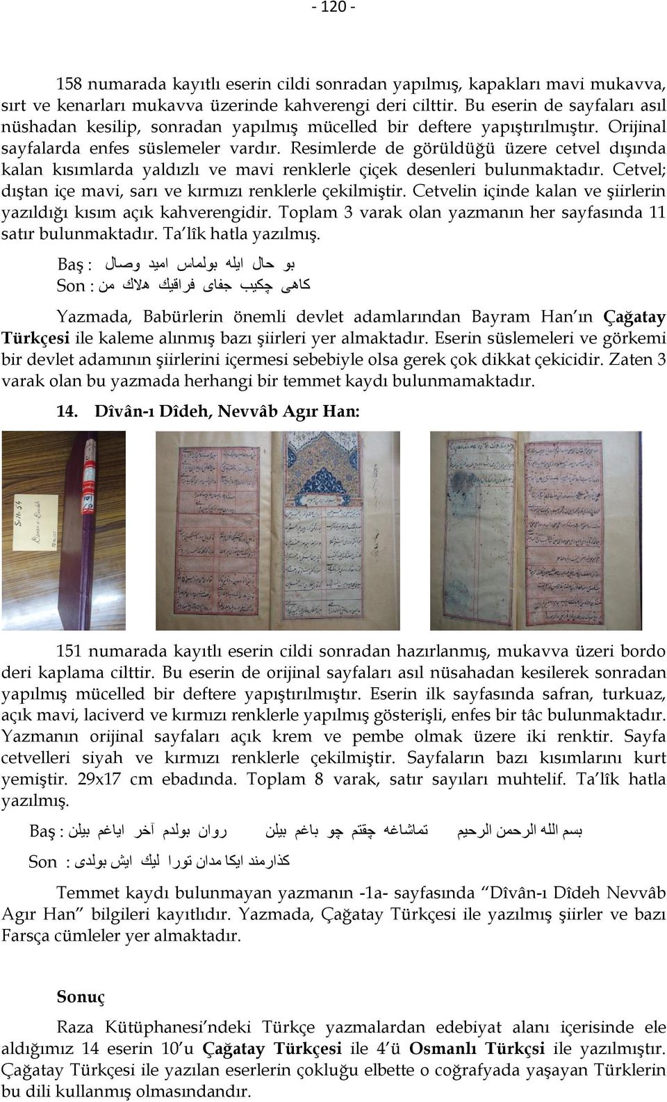 Resimlerde de görüldüğü üzere cetvel dışında kalan kısımlarda yaldızlı ve mavi renklerle çiçek desenleri bulunmaktadır. Cetvel; dıştan içe mavi, sarı ve kırmızı renklerle çekilmiştir.