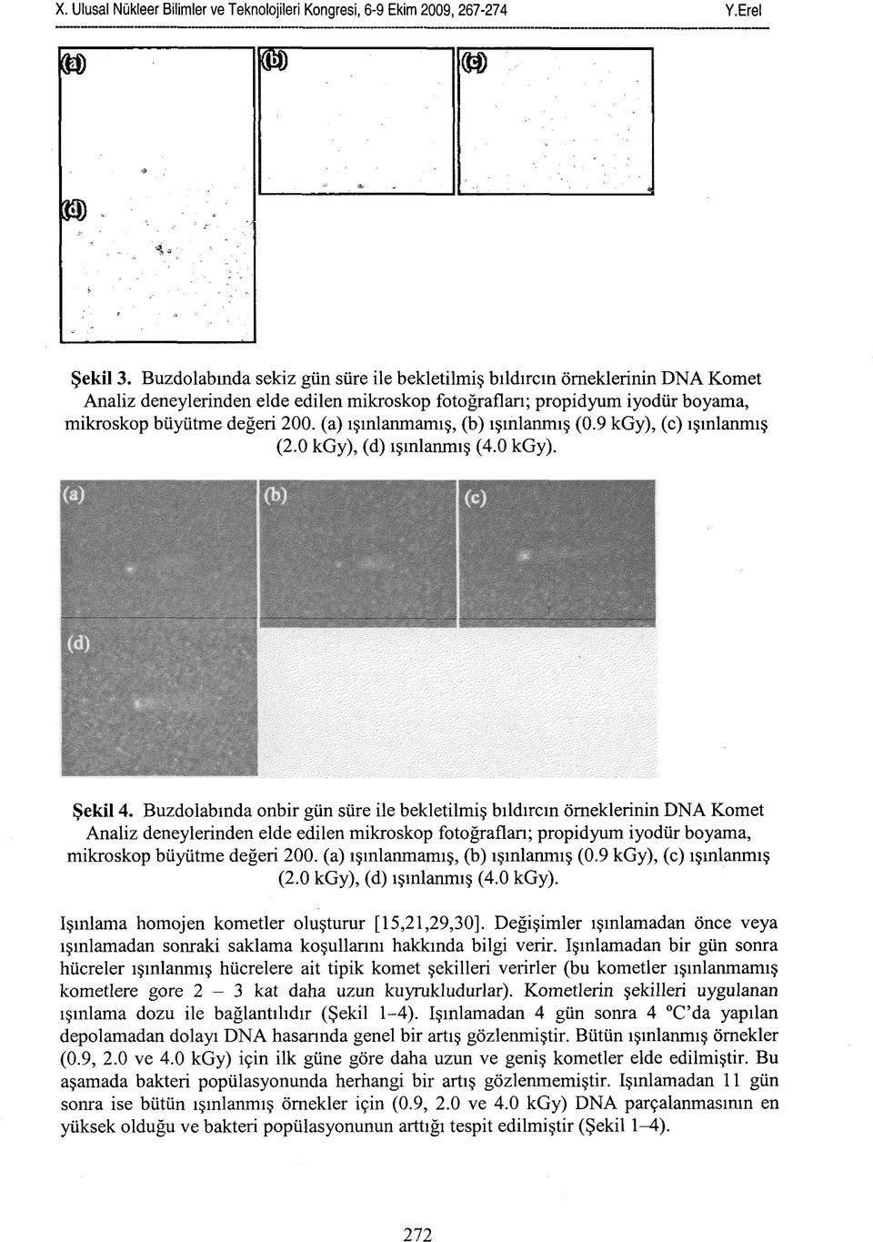 (a) ışınlanmamış, (b) ışınlanmış (0.9 kgy), (c) ışınlanmış (2.0 kgy), (d) ışınlanmış (4.0 kgy). Şekil 4.