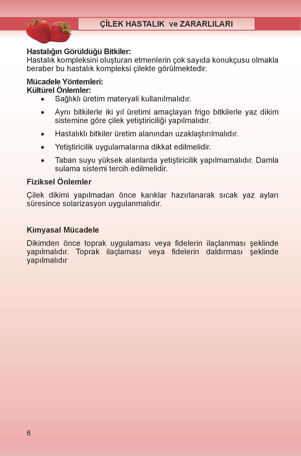 Aynı bitkilerle iki yıl üretimi amaçlayan frigo bitkilerle yaz dikim sistemine göre çilek yetiştiriciliği yapılmalıdır. Hastalıklı bitkiler üretim alanından uzaklaştırılmalıdır.