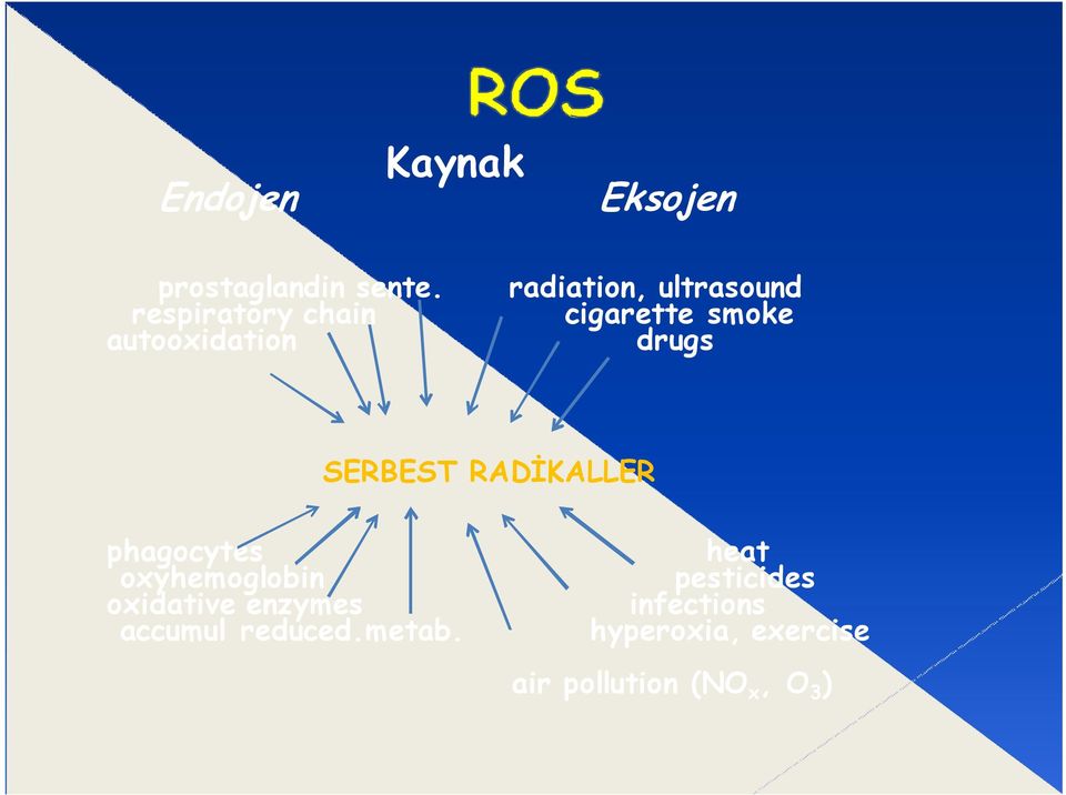 drugs SERBEST RADİKALLER phagocytes heat oxyhemoglobin pesticides