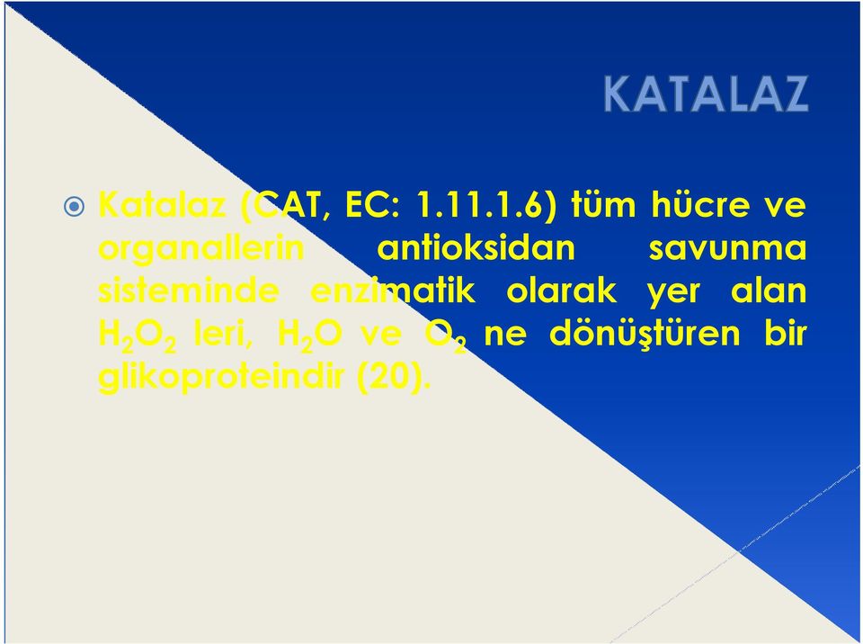 antioksidan savunma sisteminde enzimatik