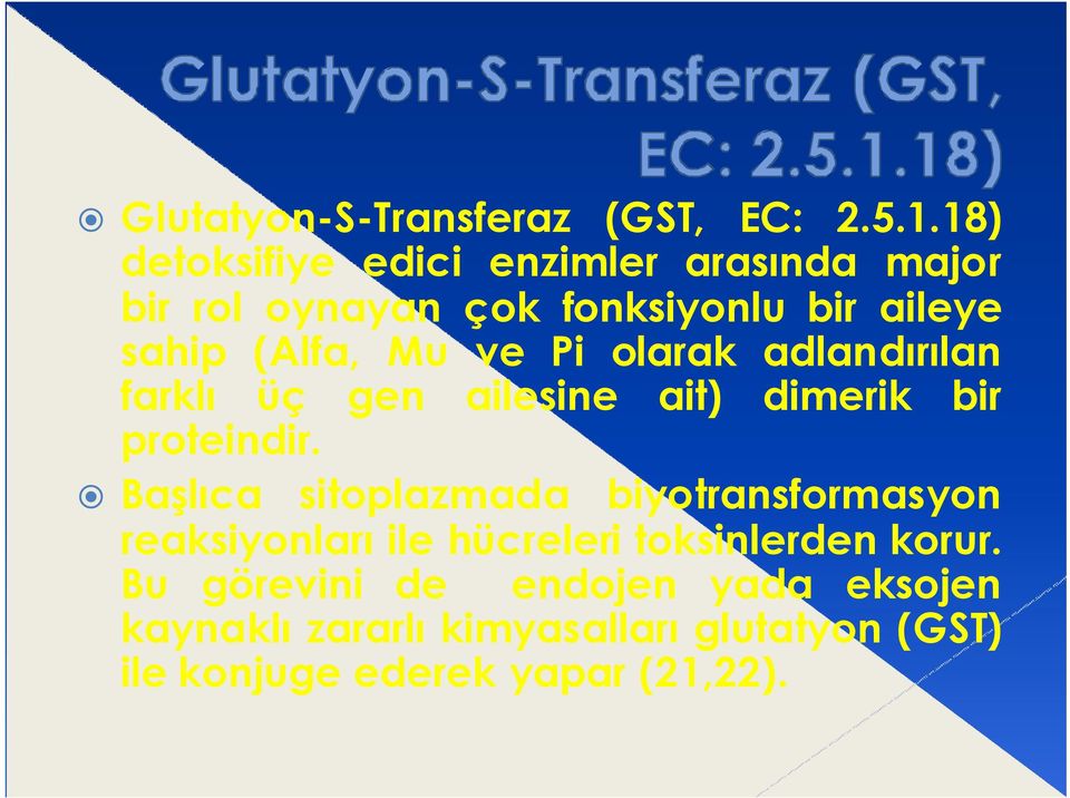 ve Pi olarak adlandırılan farklı üç gen ailesine ait) dimerik bir proteindir.