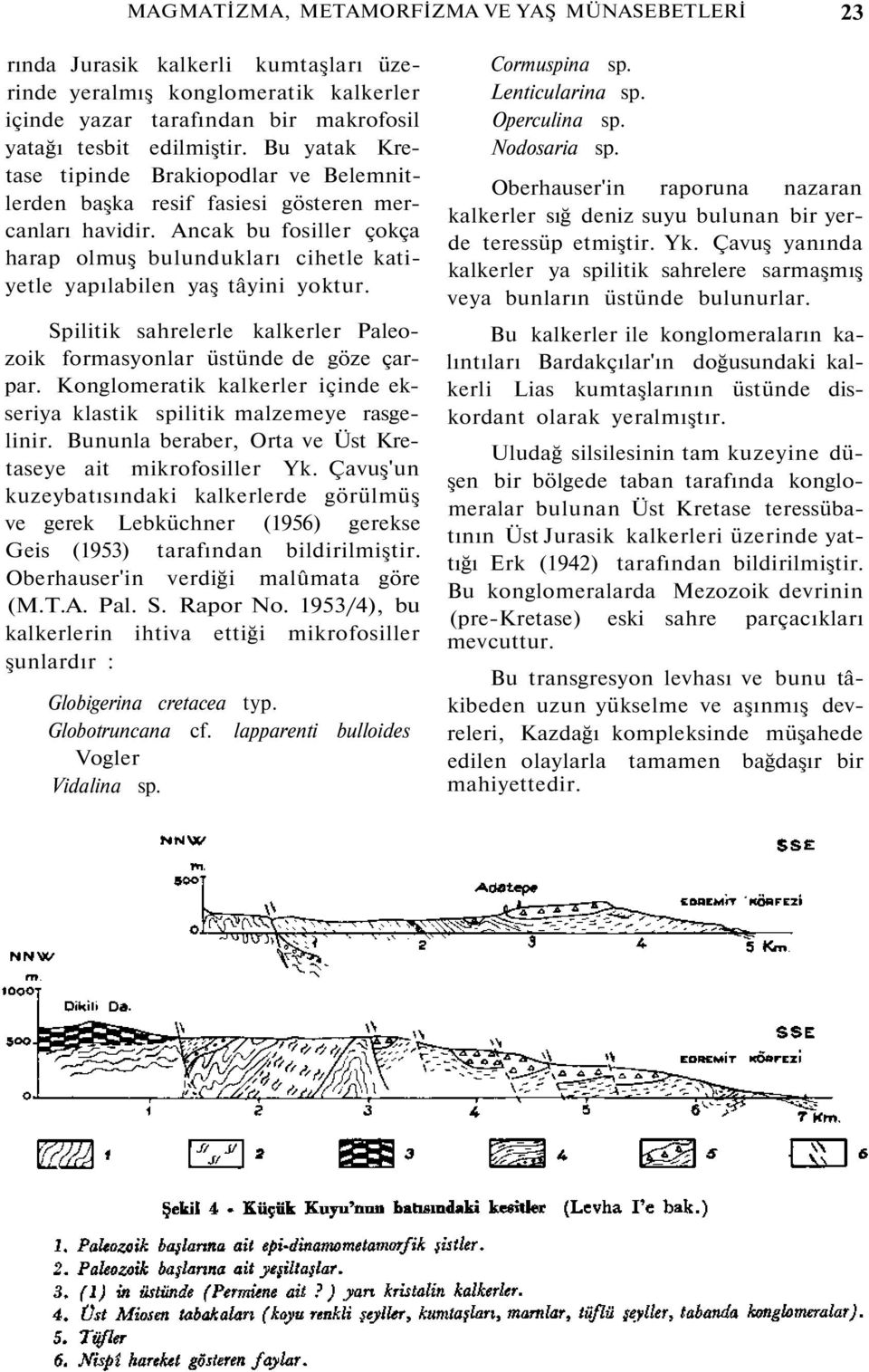 Ancak bu fosiller çokça harap olmuş bulundukları cihetle katiyetle yapılabilen yaş tâyini yoktur. Spilitik sahrelerle kalkerler Paleozoik formasyonlar üstünde de göze çarpar.