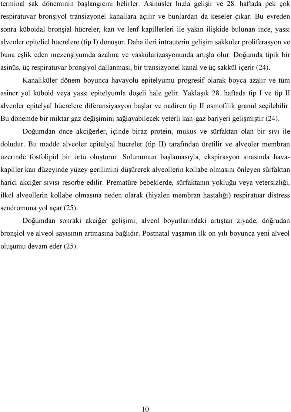 Daha ileri intrauterin geliģim sakküler proliferasyon ve buna eģlik eden mezenģiyumda azalma ve vaskülarizasyonunda artıģla olur.