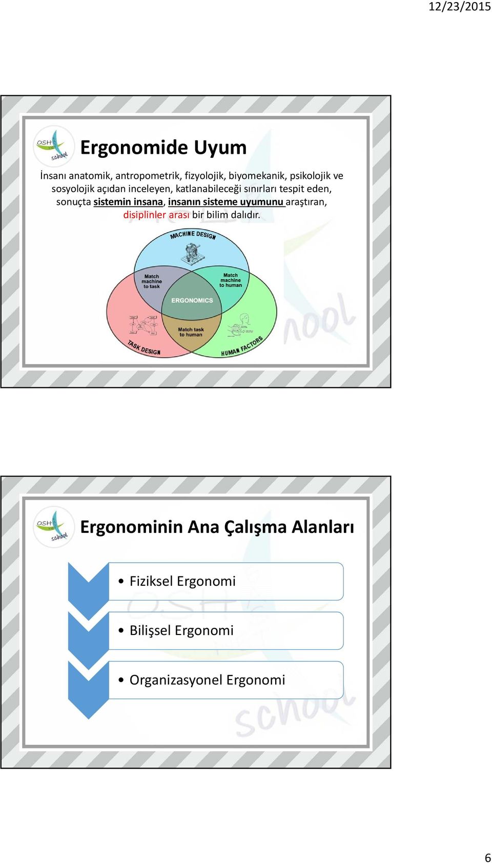 insana, insanın sisteme uyumunu araştıran, disiplinler arası bir bilim dalıdır.