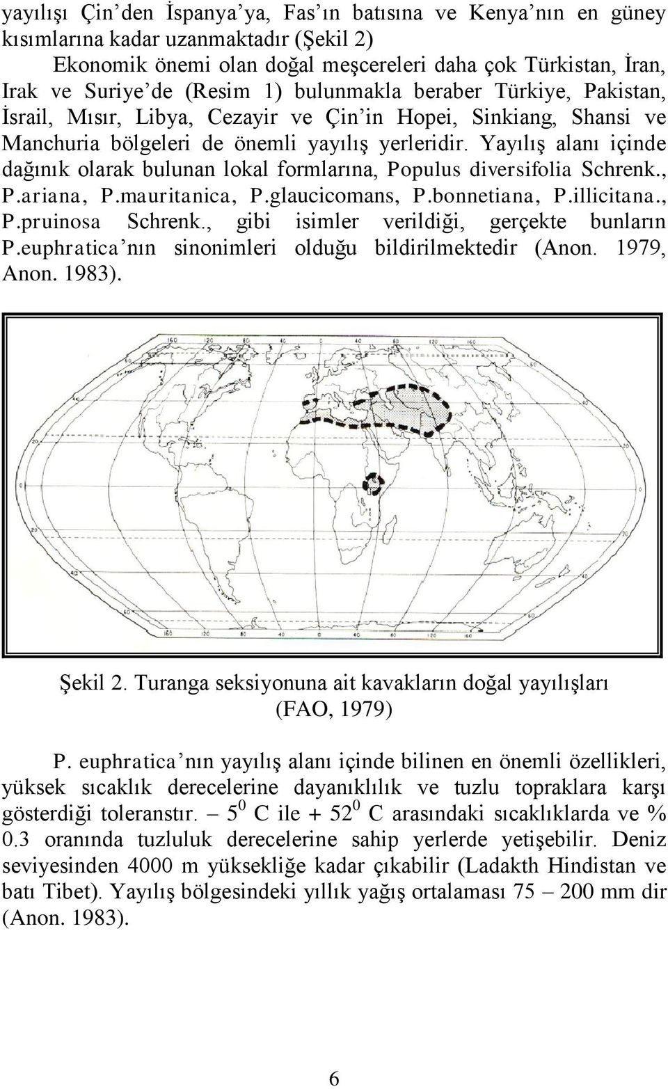 YayılıĢ alanı içinde dağınık olarak bulunan lokal formlarına, Populus diversifolia Schrenk., P.ariana, P.mauritanica, P.glaucicomans, P.bonnetiana, P.illicitana., P.pruinosa Schrenk.