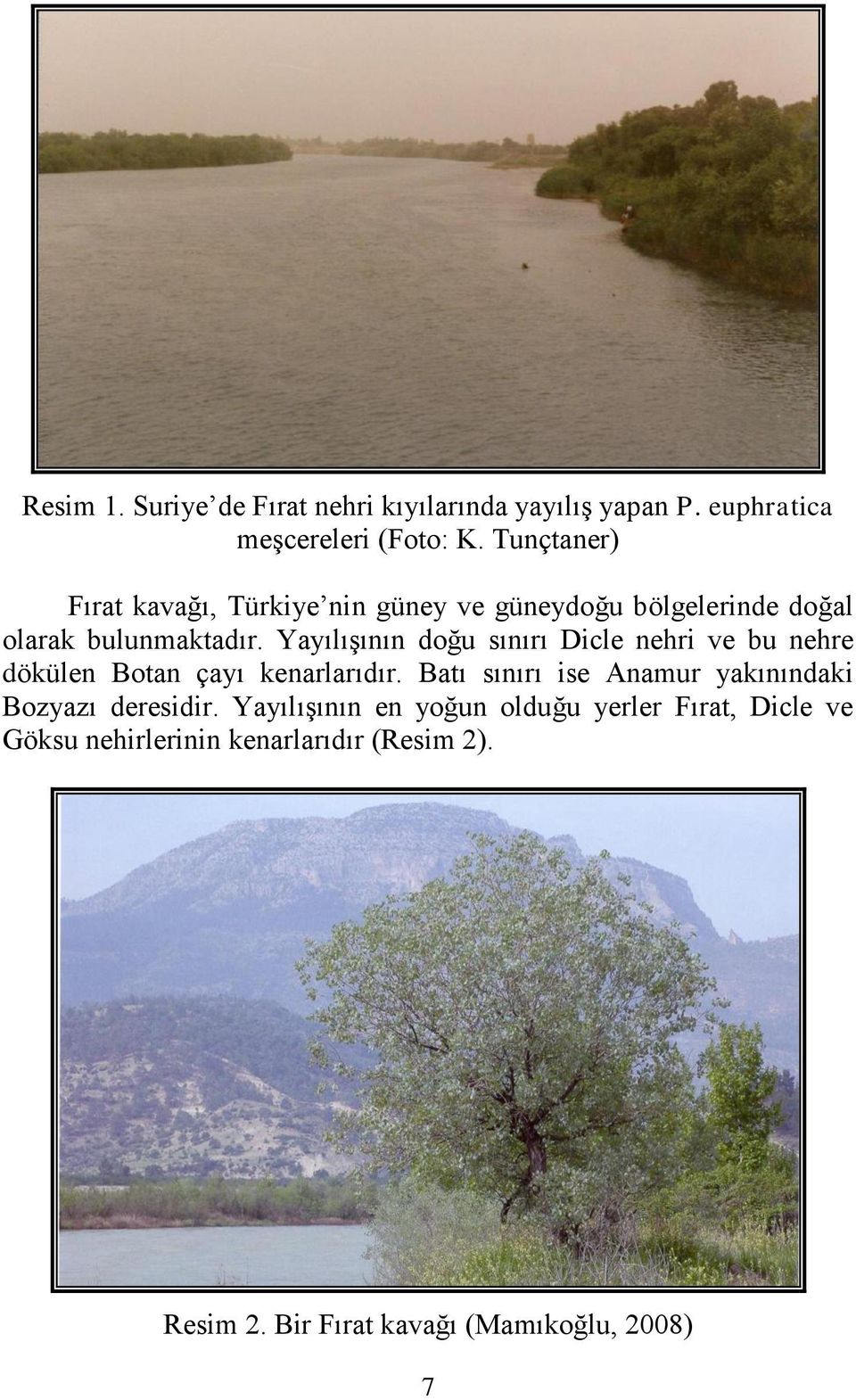 YayılıĢının doğu sınırı Dicle nehri ve bu nehre dökülen Botan çayı kenarlarıdır.