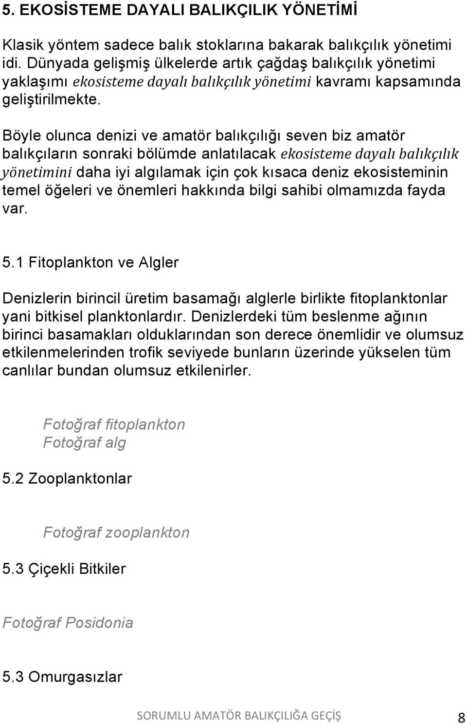 Böyle olunca denizi ve amatör balıkçılığı seven biz amatör balıkçıların sonraki bölümde anlatılacak ekosisteme dayalı balıkçılık yönetimini daha iyi algılamak için çok kısaca deniz ekosisteminin