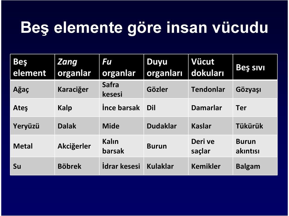 İnce barsak Dil Damarlar Ter Yeryüzü Dalak Mide Dudaklar Kaslar Tükürük Metal Akciğerler