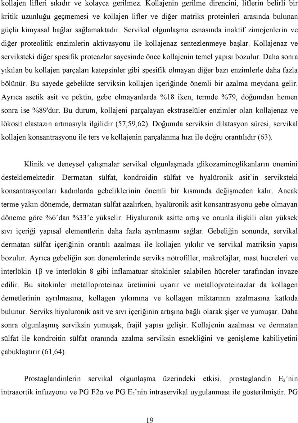 Servikal olgunlaşma esnasında inaktif zimojenlerin ve diğer proteolitik enzimlerin aktivasyonu ile kollajenaz sentezlenmeye başlar.