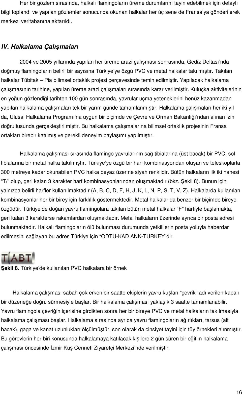 Halkalama Çalışmaları 2004 ve 2005 yıllarında yapılan her üreme arazi çalışması sonrasında, Gediz Deltası nda doğmuş flamingoların belirli bir sayısına Türkiye ye özgü PVC ve metal halkalar