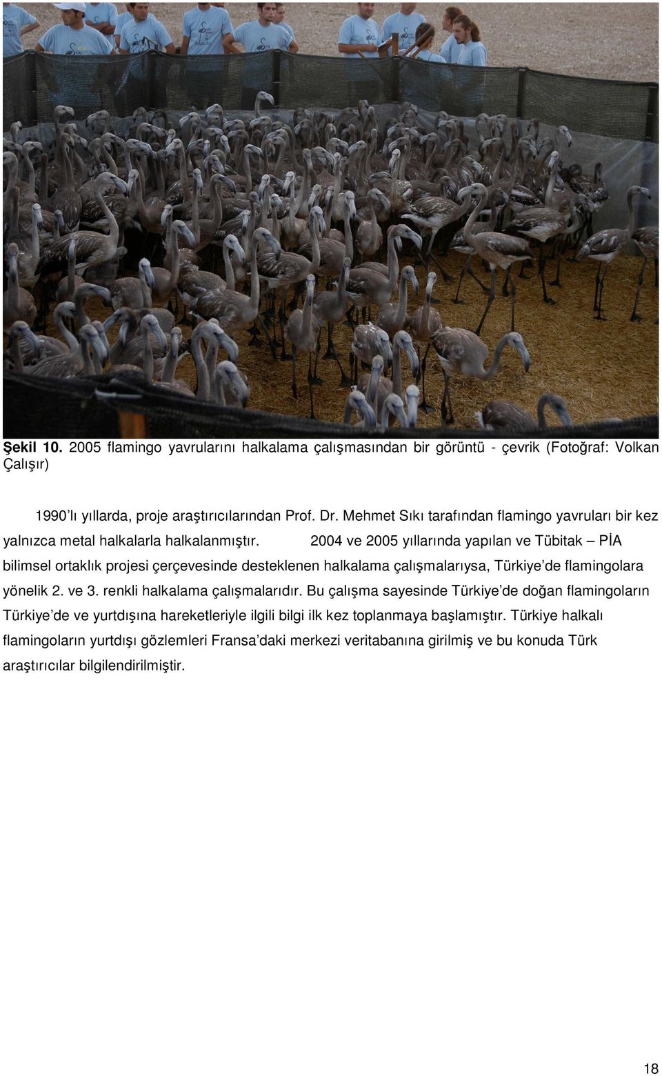 2004 ve 2005 yıllarında yapılan ve Tübitak PĐA bilimsel ortaklık projesi çerçevesinde desteklenen halkalama çalışmalarıysa, Türkiye de flamingolara yönelik 2. ve 3.