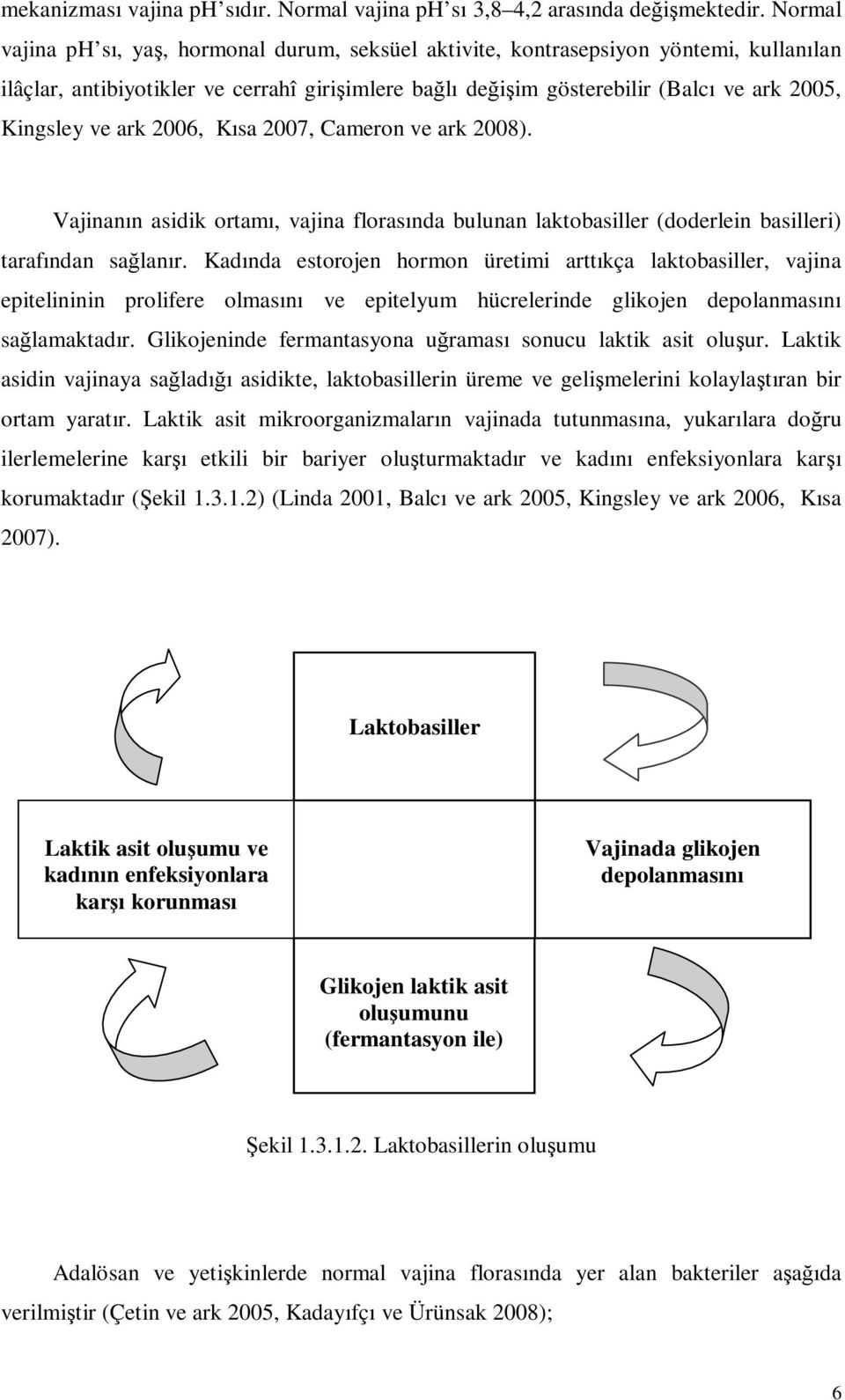 ve ark 2006, Kısa 2007, Cameron ve ark 2008). Vajinanın asidik ortamı, vajina florasında bulunan laktobasiller (doderlein basilleri) tarafından sağlanır.