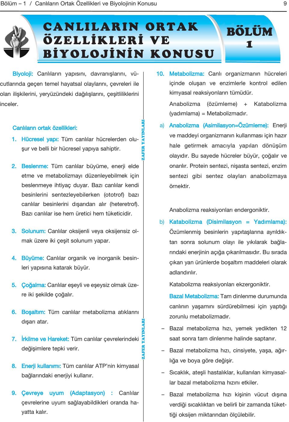 Hücresel yapı: Tüm canlılar hücrelerden oluşur ve belli bir hücresel yapıya sahiptir. 2. Beslenme: Tüm canlılar büyüme, enerji elde etme ve metabolizmayı düzenleyebilmek için beslenmeye ihtiyaç duyar.