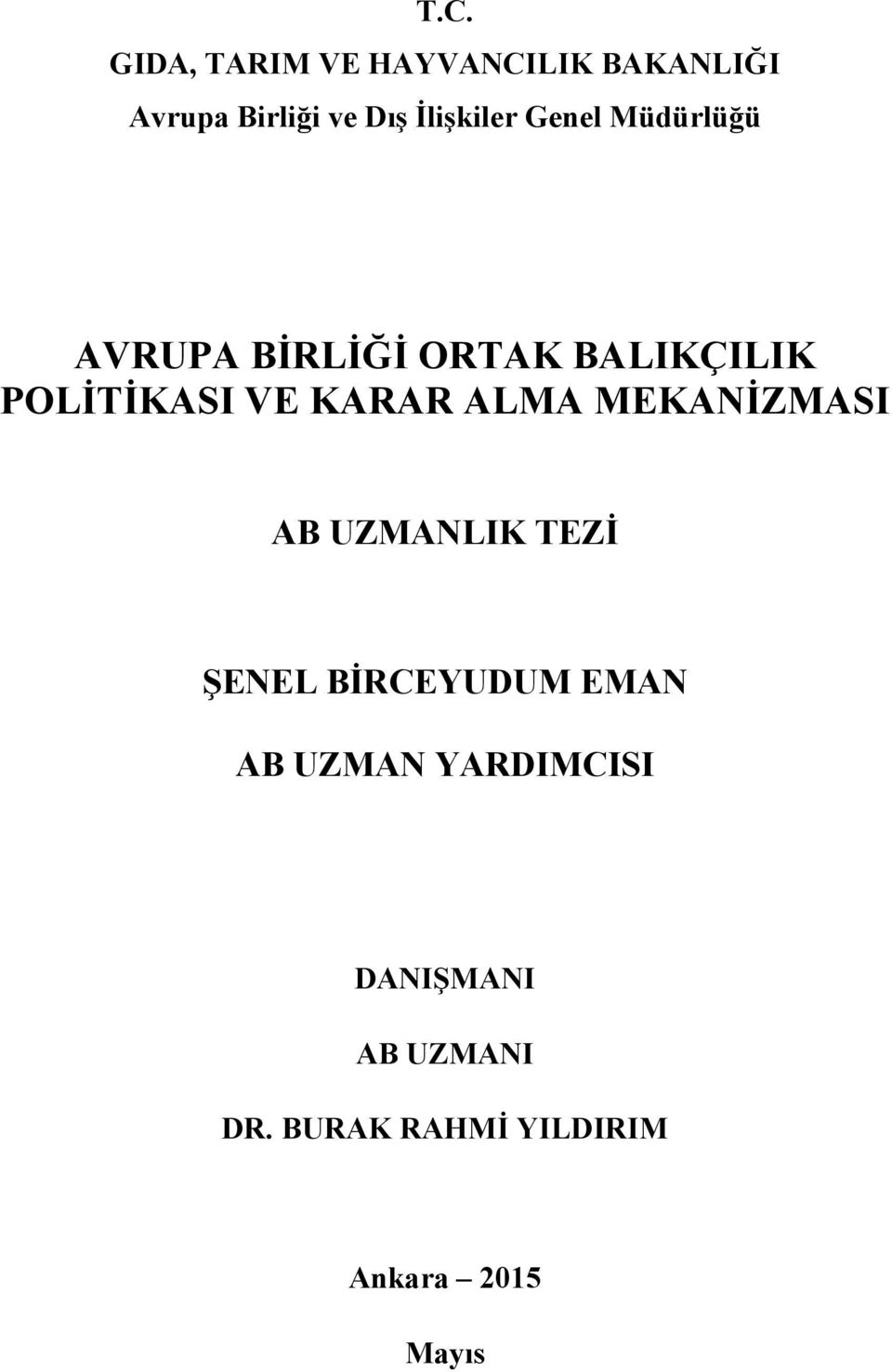 VE KARAR ALMA MEKANİZMASI AB UZMANLIK TEZİ ŞENEL BİRCEYUDUM EMAN AB